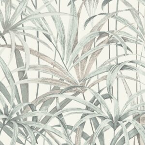 Juncos Mint